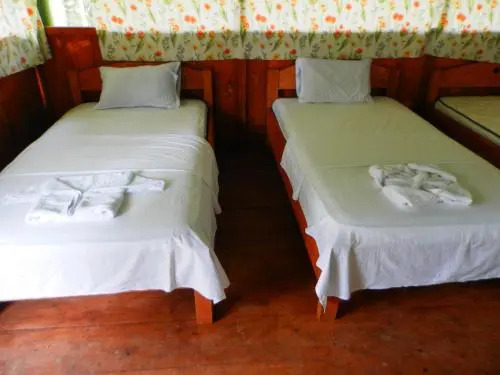 Amazon Eco Tours & Lodge