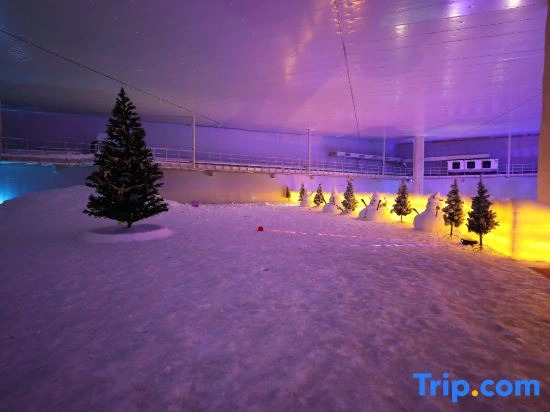 Libo Ice Snow Water World Theme Hotel