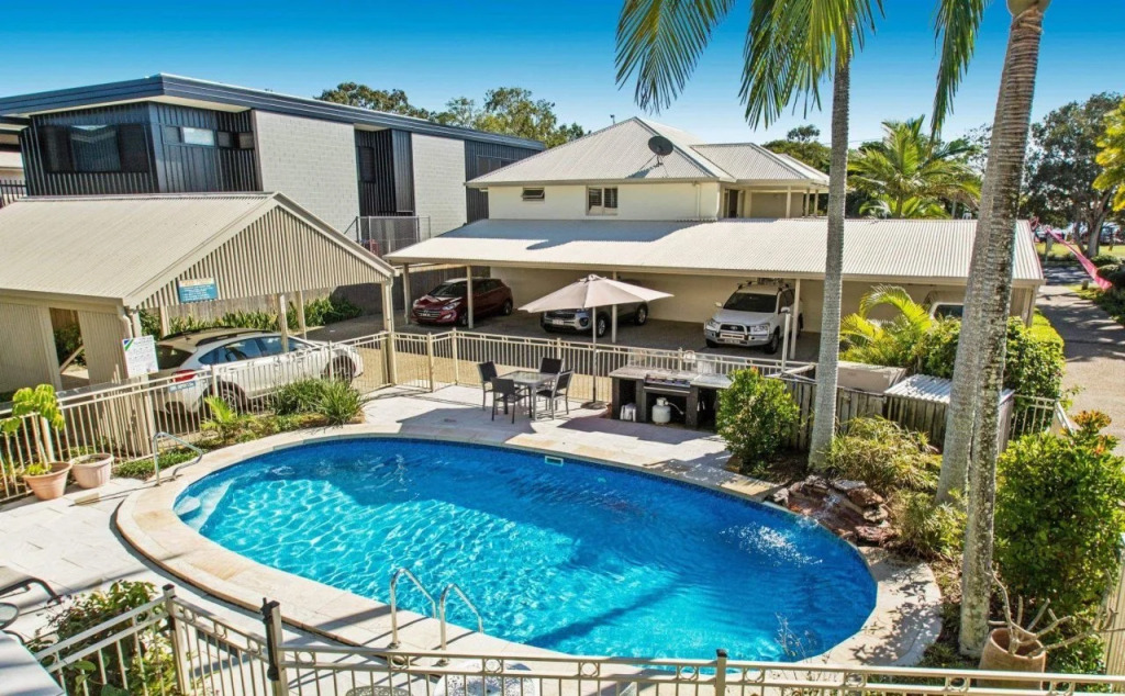 Noosa River Palms