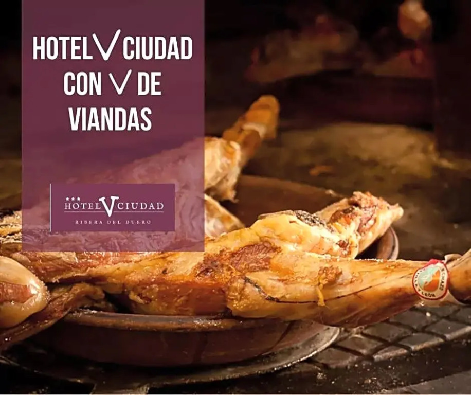HOTEL V.CIUDAD
