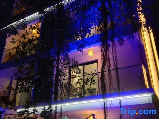 Dongshan quiet habitat banyan home stay