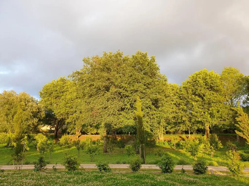 Quinta Das Essências