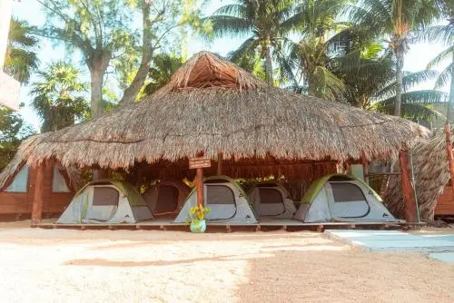 Mapache Hostel & Camping