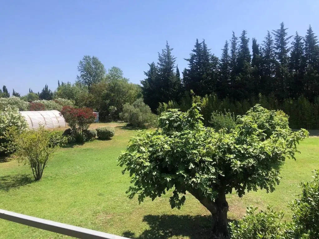 Bungalow de 2 chambres avec jardin clos et wifi a Roquebrune sur Argens