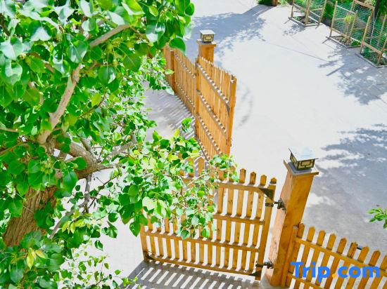 Dunhuang Summer Viewing Homestay