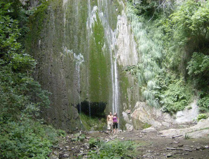 vecchio west