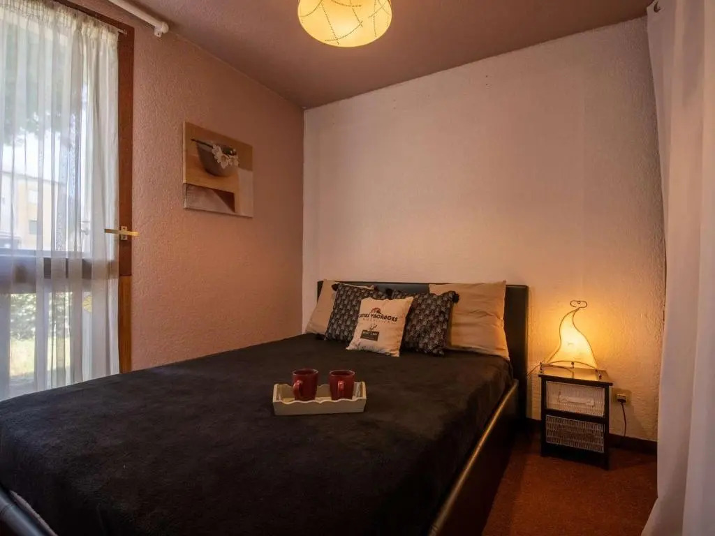 Appartement Saint-Lary-Soulan, 2 pièces, 4 personnes - FR-1-296-288