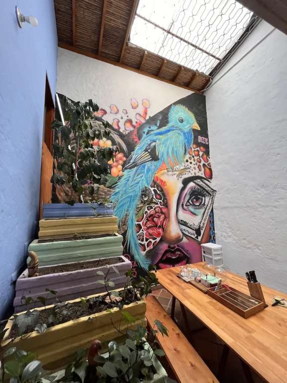 Yolo Hostel Medellin