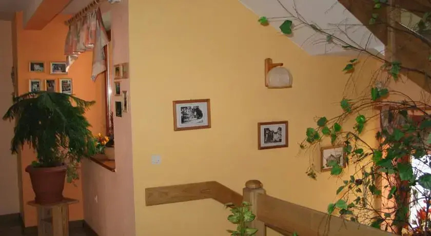 Pensjonat Lotos