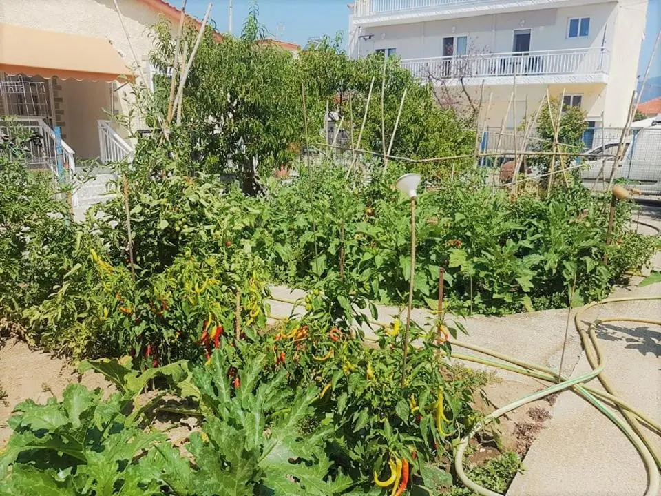 Sia Beach House