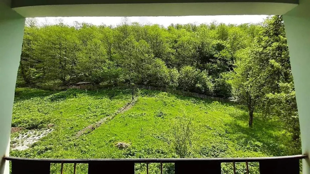 Guest house-Lile