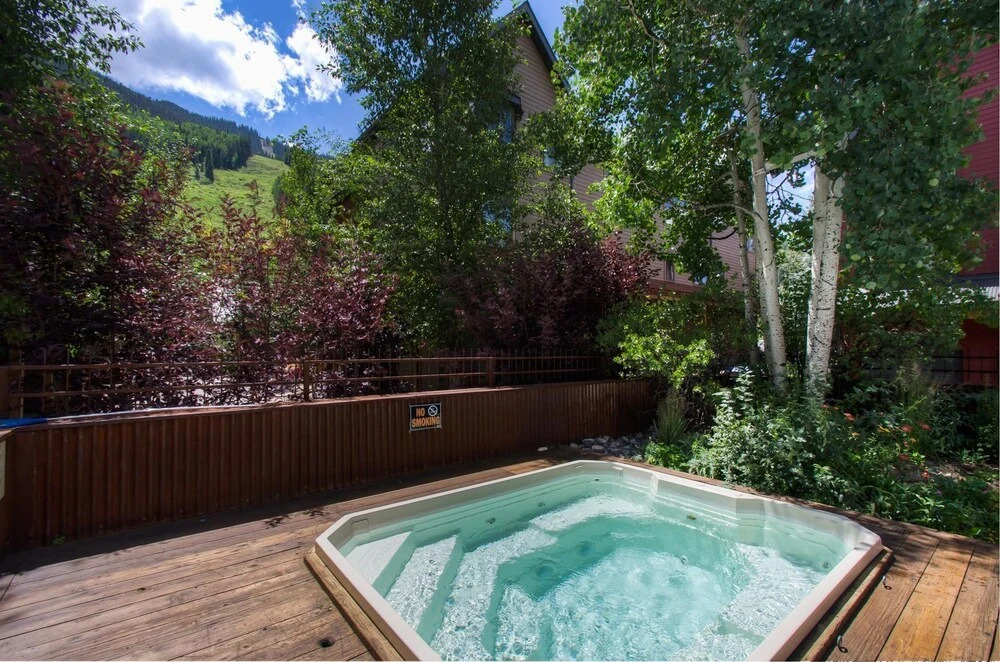 Lulu City 3F 2 Bedroom Condo By Accommodations in Telluride