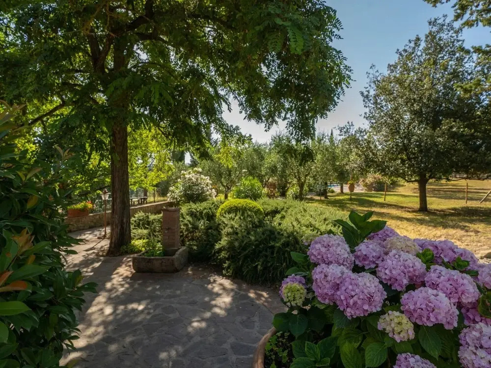 Rosa Montelopio in Montelopio