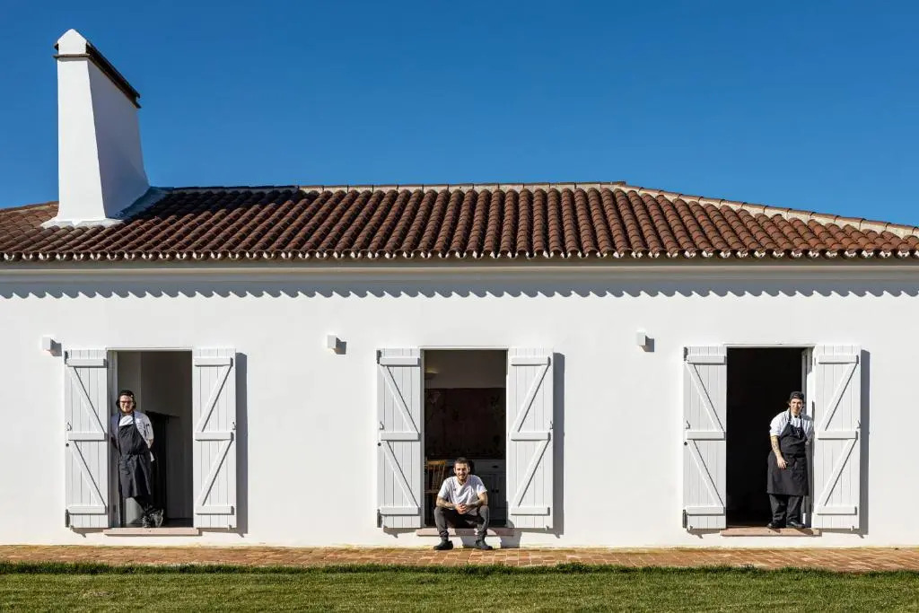 Cenoura-Brava