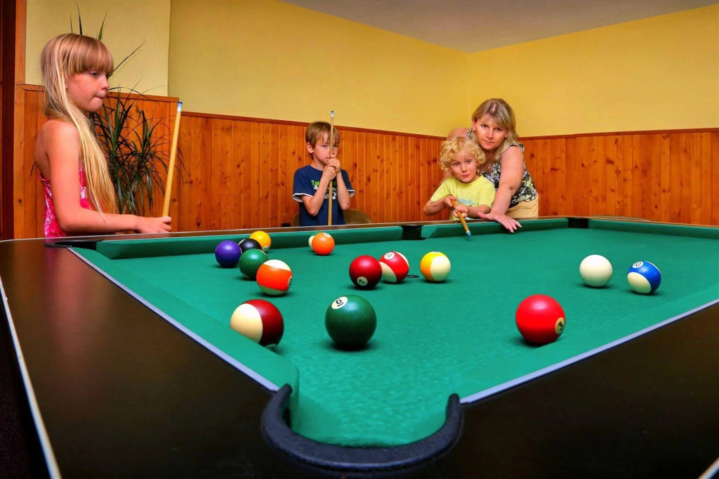 Hotel Stary Mlyn