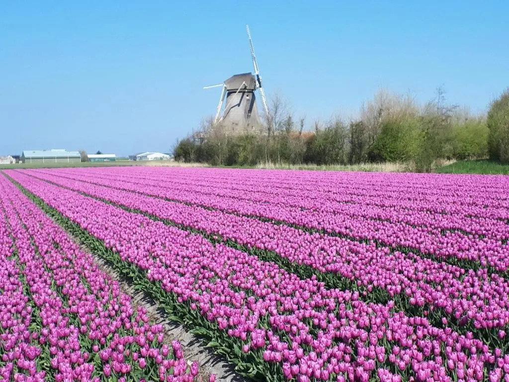 B&B de Keinsmer