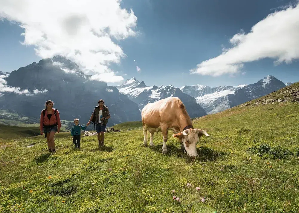 Hotel Alpenrose Wengen - a family affair