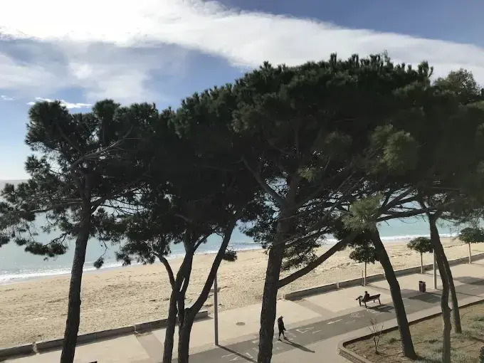 Apartamento Miramar Vistas Frontales Mar - 124B