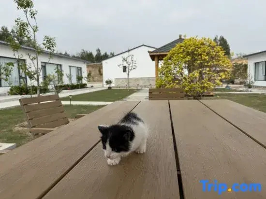Guiyuan Mountain Residence Homestay