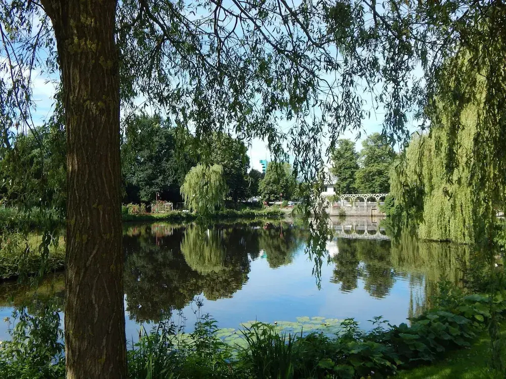 PARKHOTEL - Rosarium