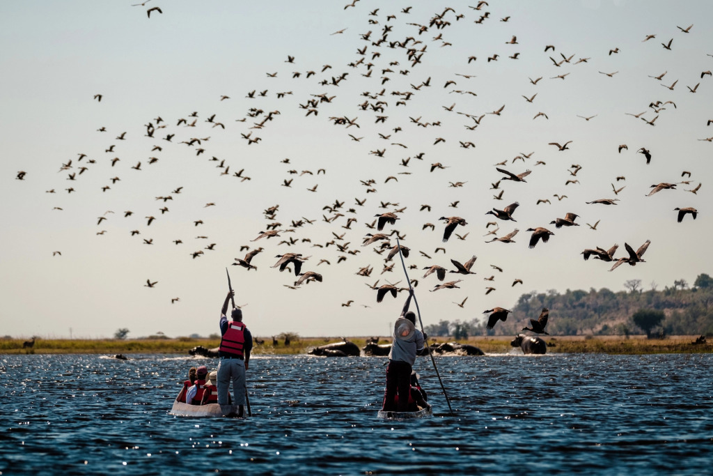 Chobe Marina Lodge