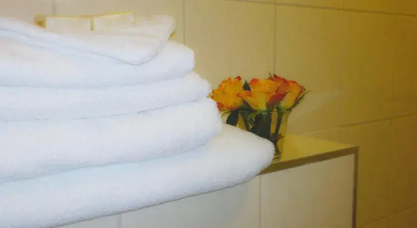Hotel Brasserie Den Handwijzer