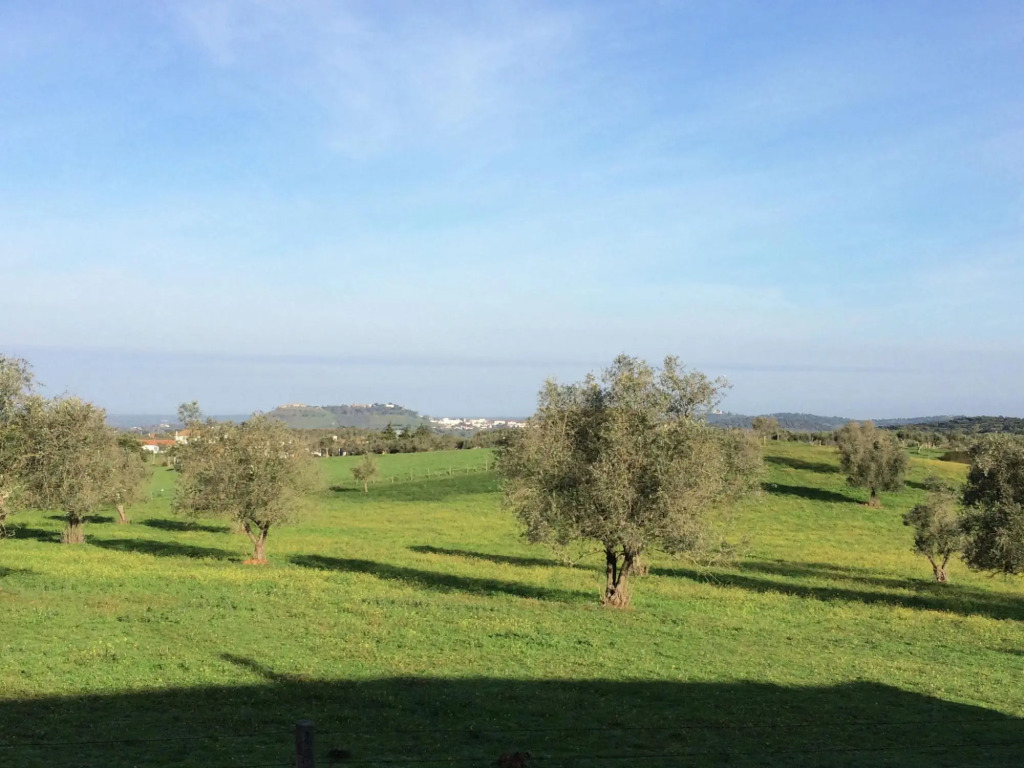 Shared Farmhouse Near Serra Monfuradoca
