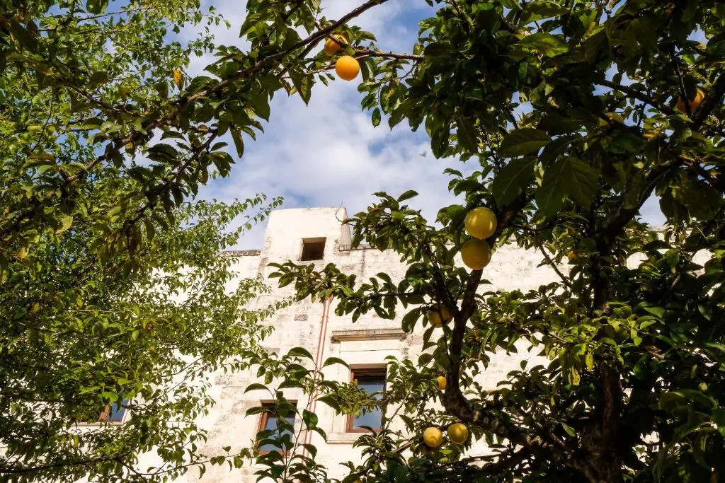 Casa del Sud