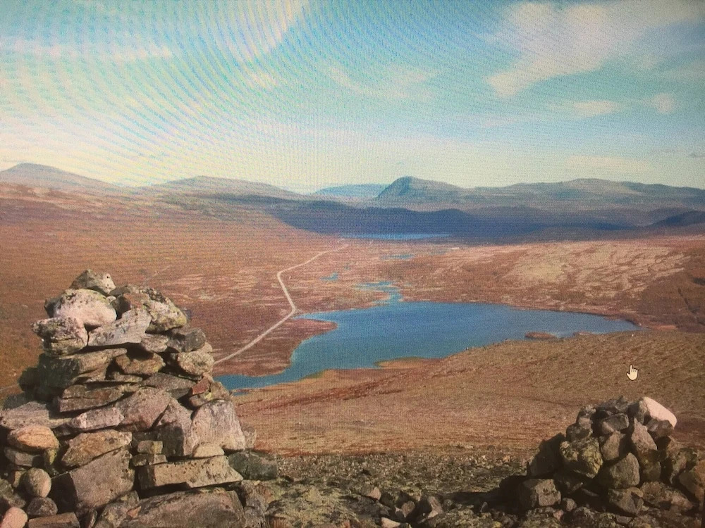 Live in the Realm of the Musk Oxen on Dovrefjell