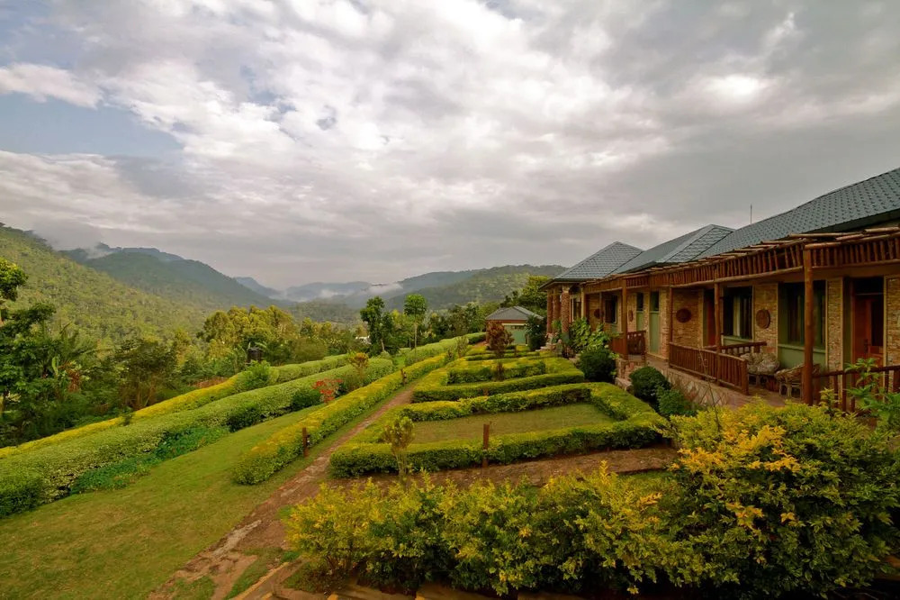 Silverback Lodge
