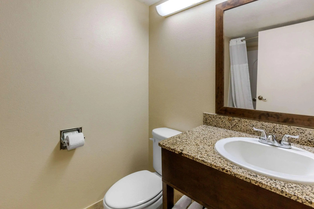 Comfort Inn St Petersburg North