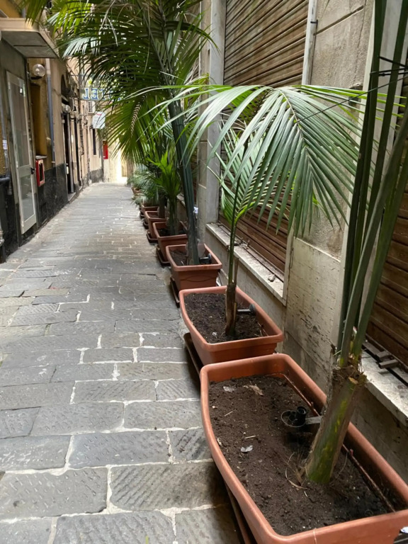 Hotel Veronese