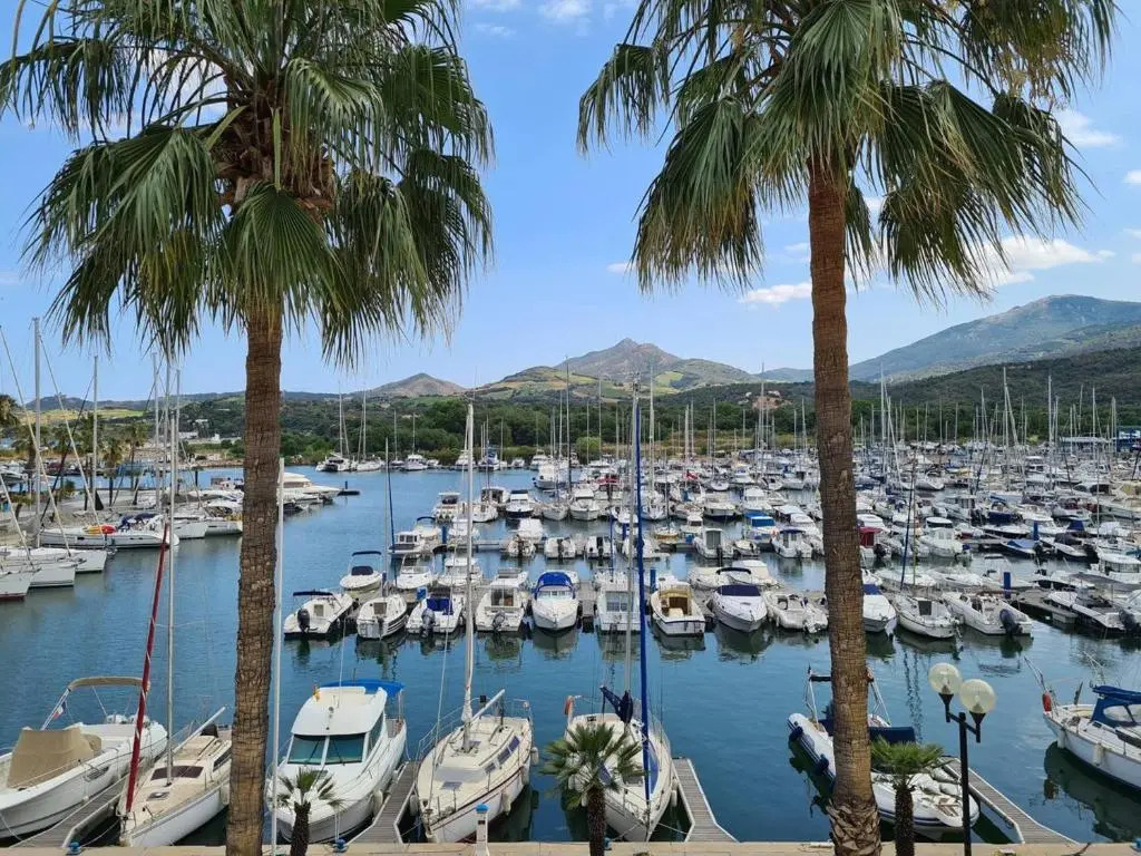 Appartement Argelès-sur-Mer, 2 pièces, 6 personnes - FR-1-388-16