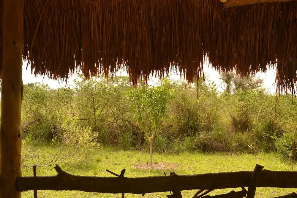 Topi Lodge
