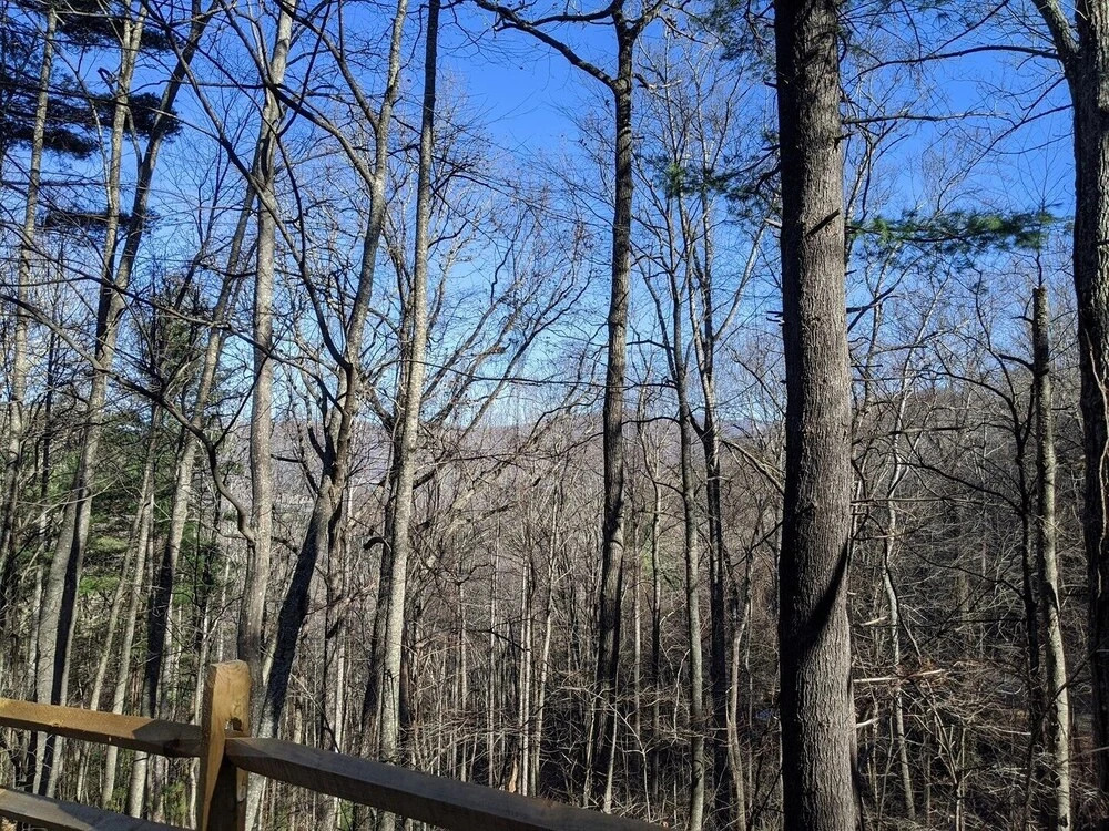 Asheville Town 3 Bedroom Cabin