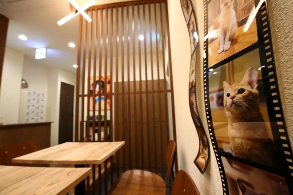 Yagura Hostel