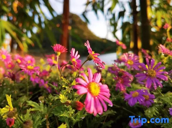 Puzhehei Xianrenju Lake View Homestay