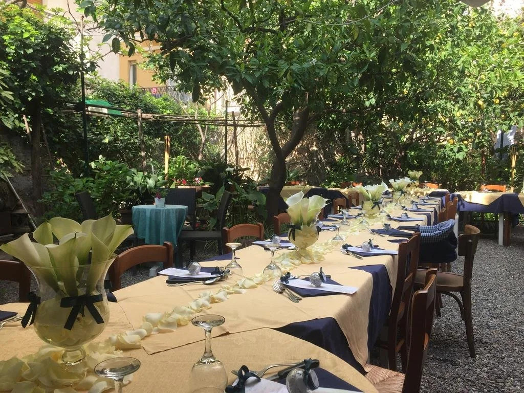Hotel Mimosa