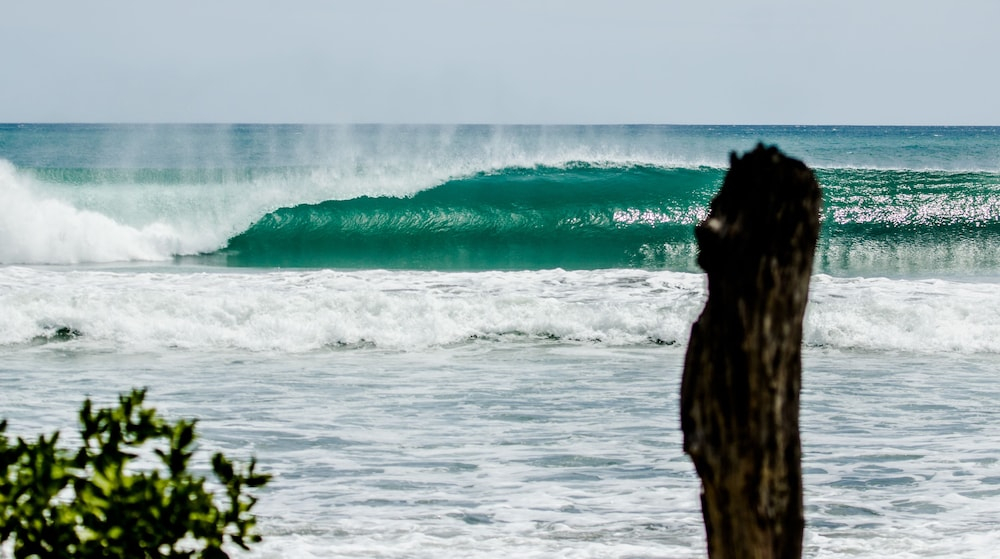 Cabinas Las Olas