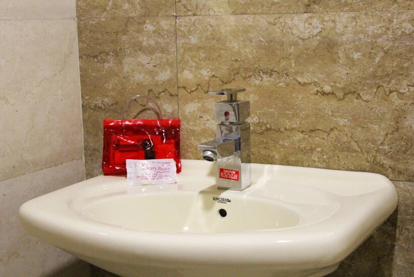 OYO 3446 Hotel Sanjary Palace