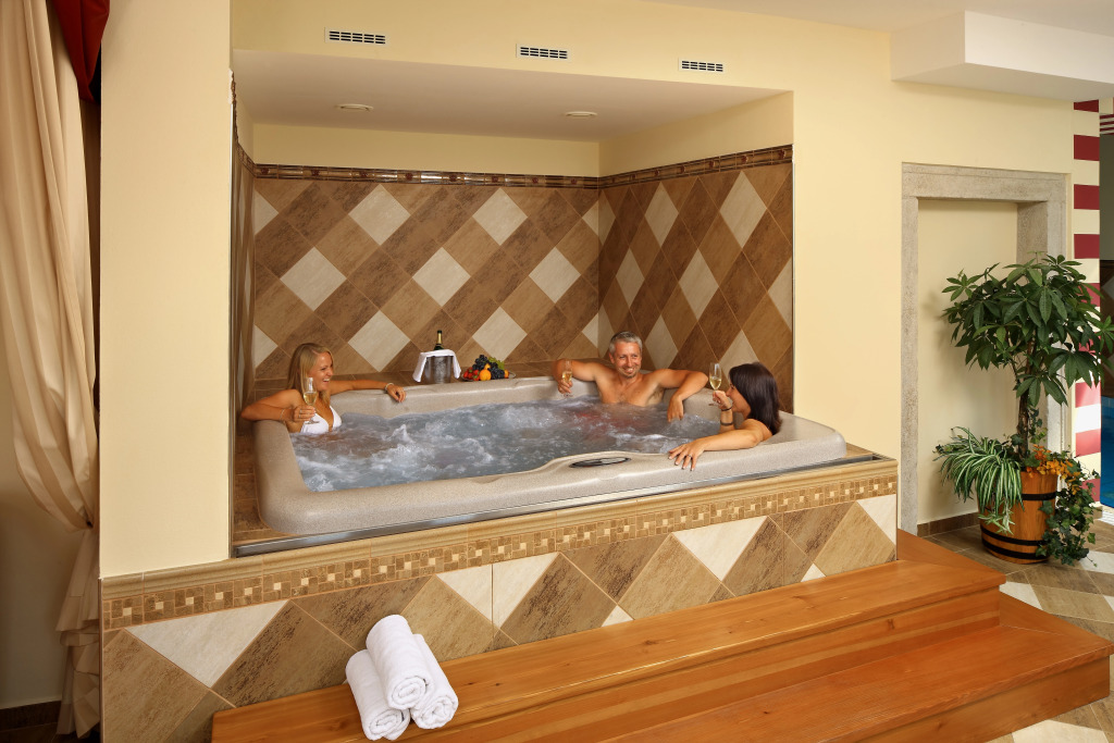 Hotel Ruze & Wellness