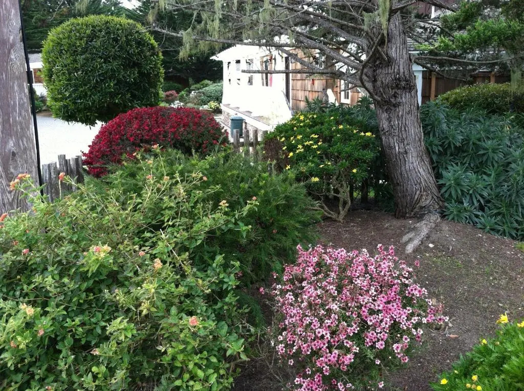 Lighthouse Lodge & Cottages