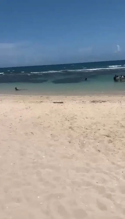 Juan Dolió, Guayacanes, San Pedro de Macorís 203-D