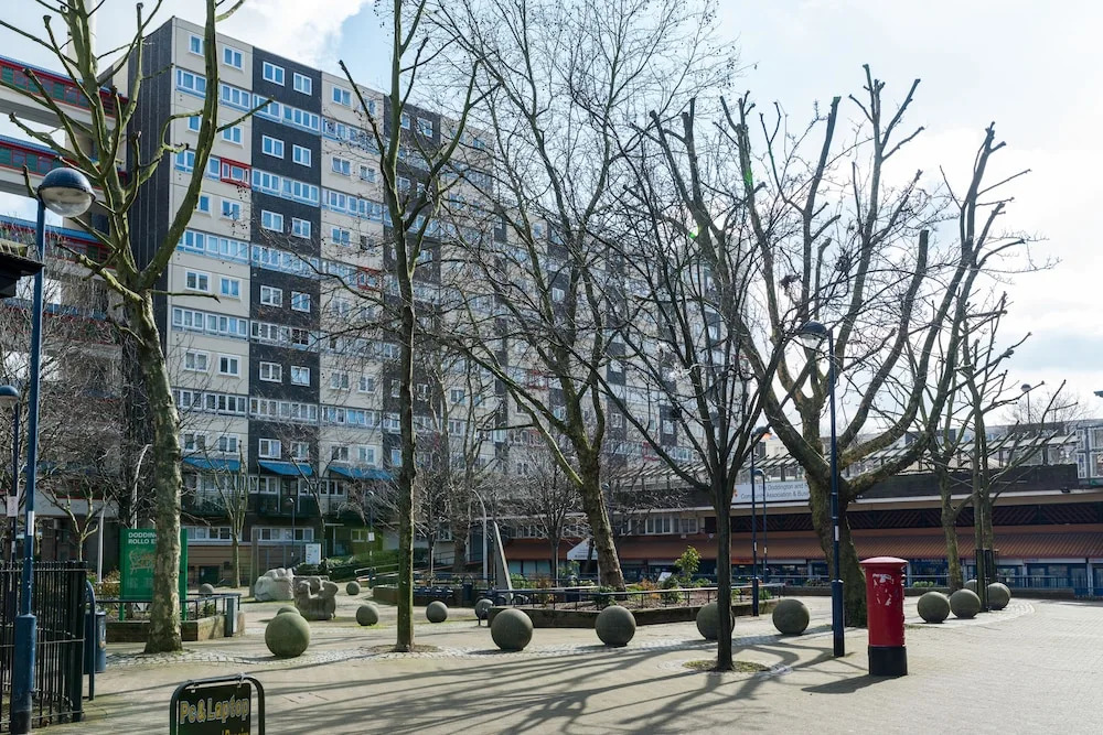 Luxury Battersea Park Home with Stunning Views