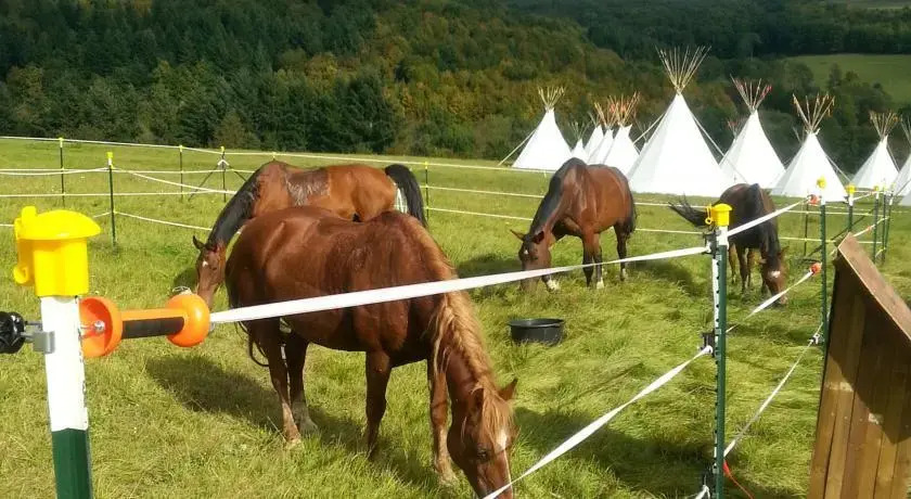 Winema Bisonranch