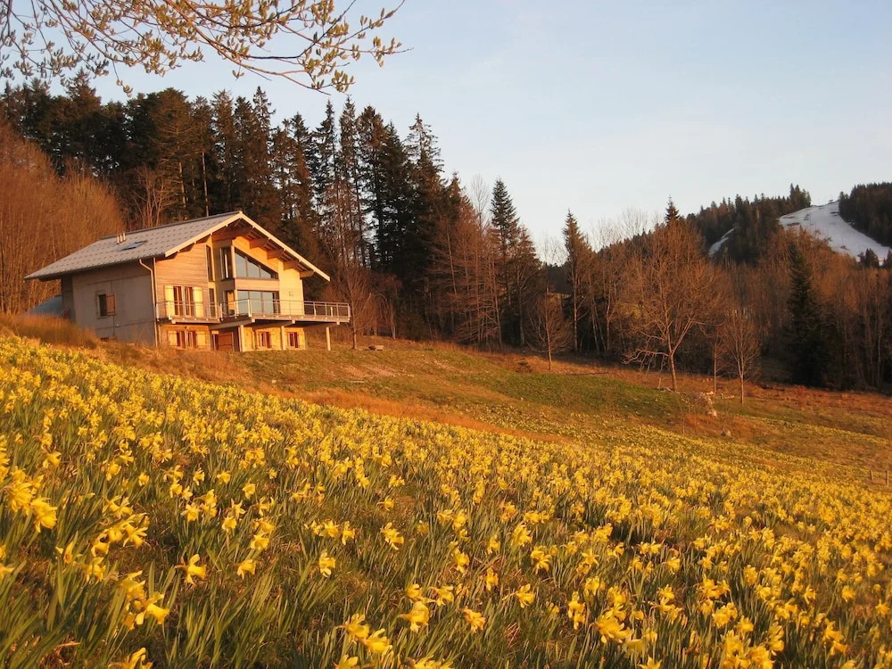 Apartment With 4 Bedrooms in Gérardmer, With Wonderful Lake View, Furn