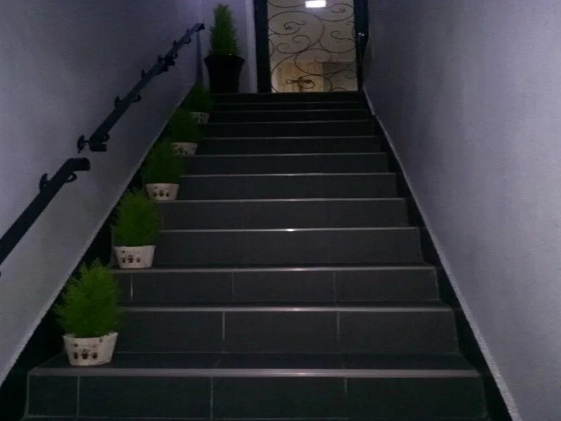 Ace Guesthouse