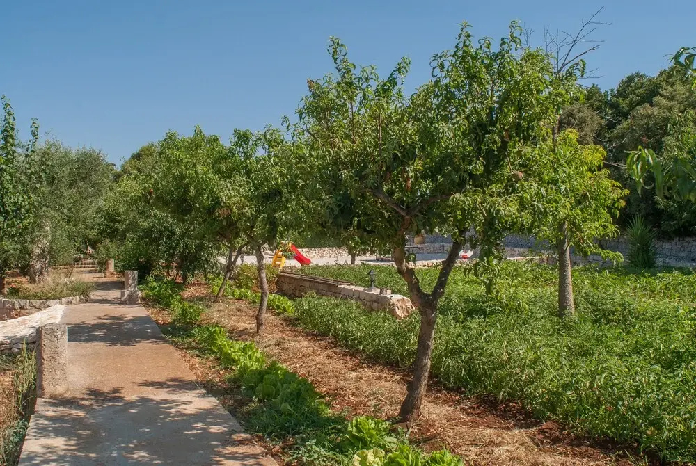 Agriturismo Antonelli Piangevino
