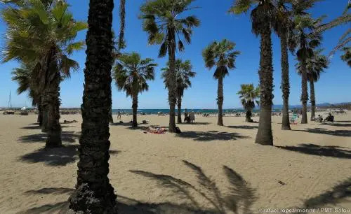 Different Nauta