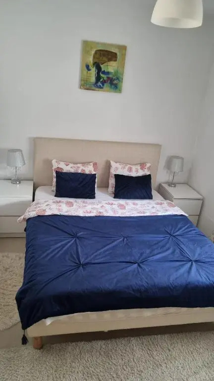 Charm 2 Palas Apartment